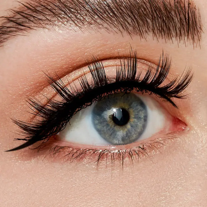 Paramour False Lashes